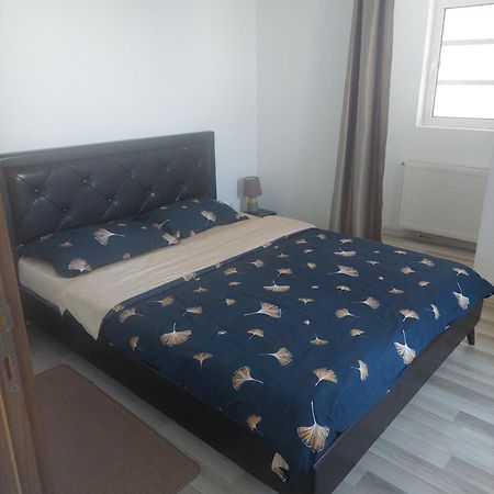 Apartament Miro House Bukareszt Zewnętrze zdjęcie